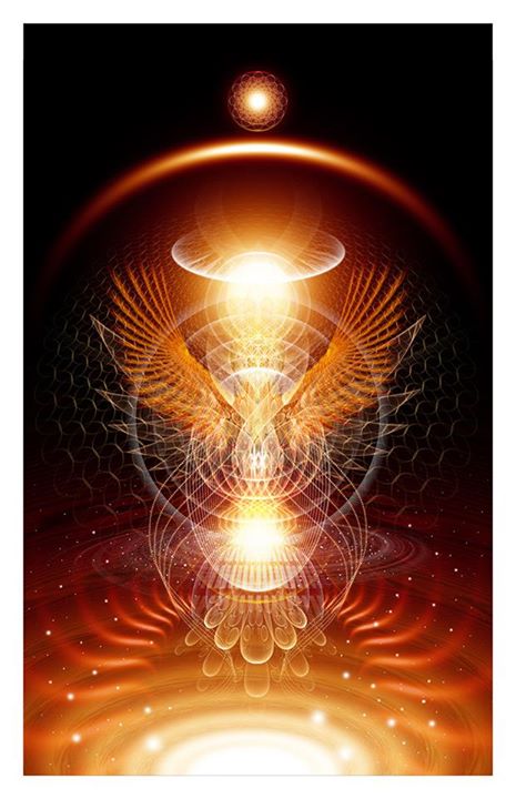 1398 - RINDO NA NOITE COM BRAHMAN, E VOANDO FELIZ...